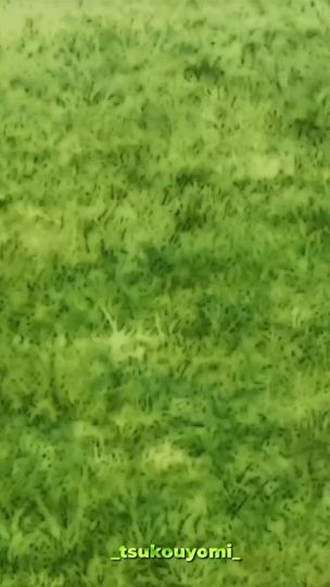 TikTok video thumbnail by tsukouyumi