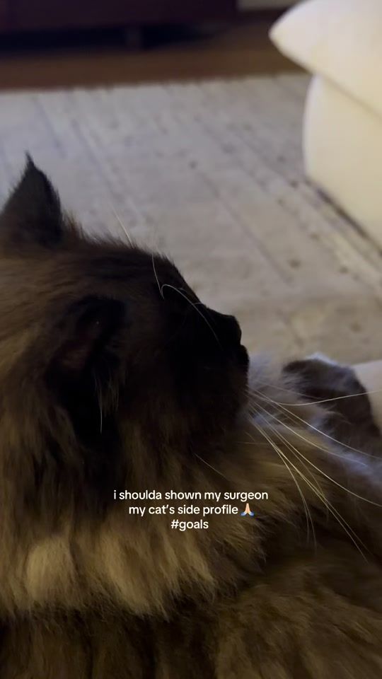 TikTok video thumbnail by ensurmeli