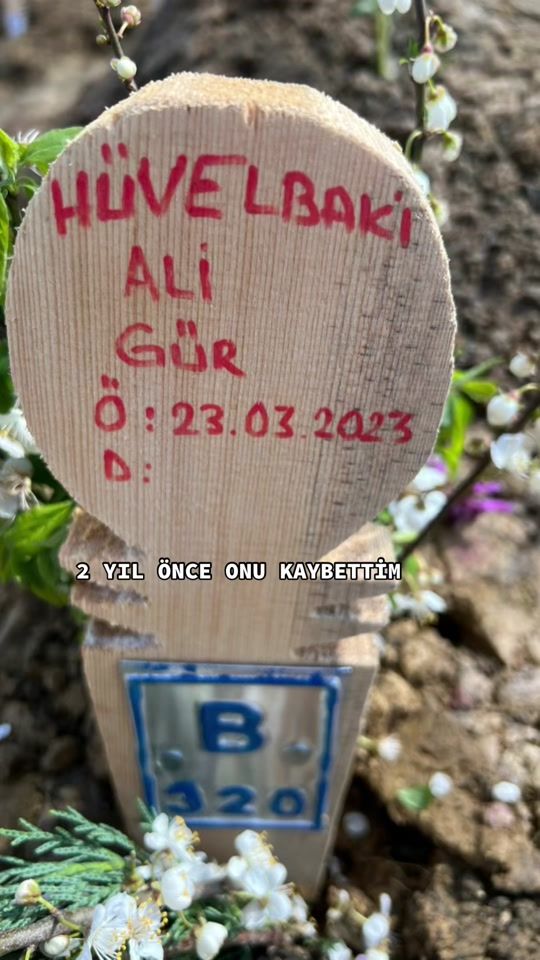 TikTok video thumbnail by asudeogretmen