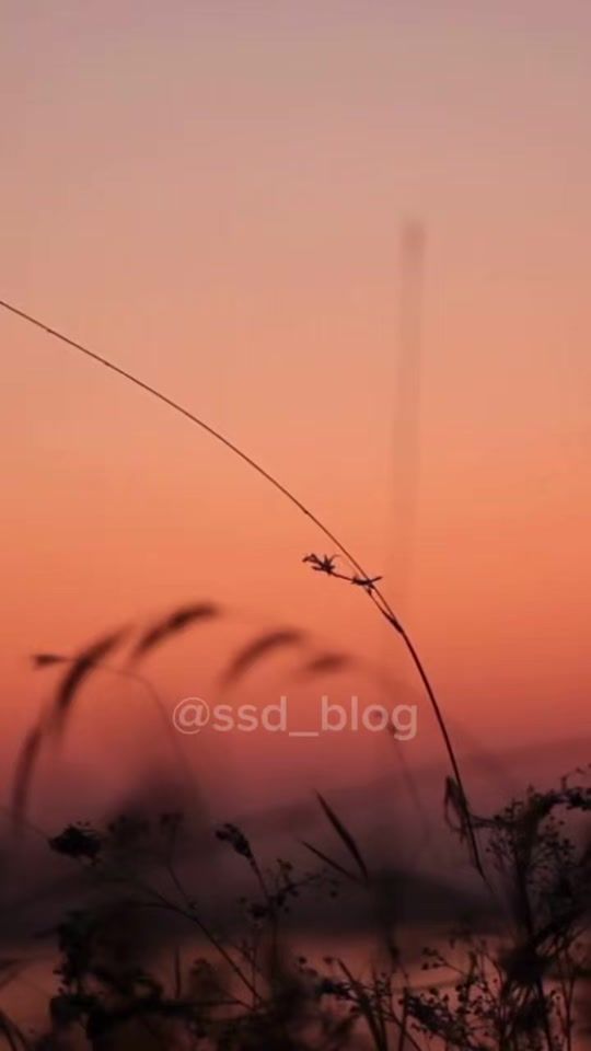 TikTok video thumbnail by ssd_blog
