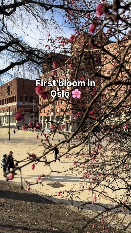 TikTok video thumbnail by colors_of_norway