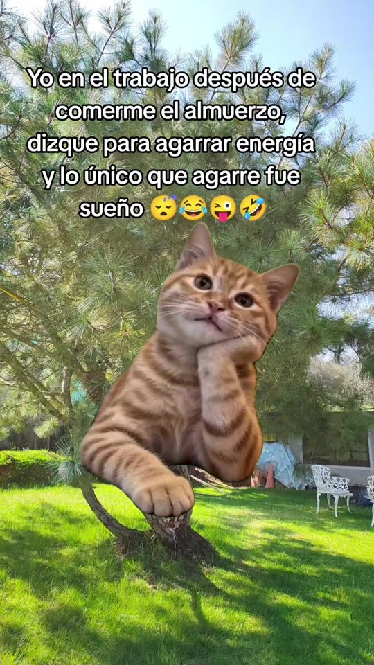 TikTok video thumbnail by gabgabmtz