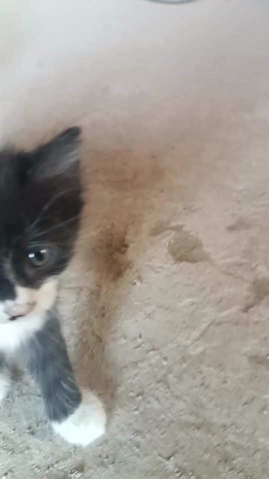 TikTok video thumbnail by back.ayhan