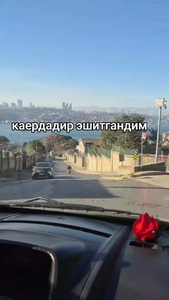 TikTok video thumbnail by shock.cherri