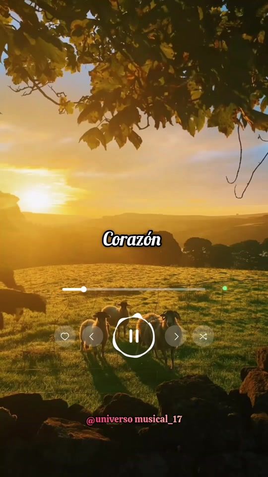TikTok video thumbnail by universomusical_17