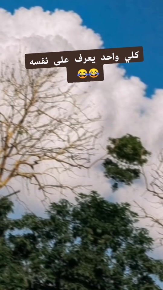 TikTok video thumbnail by 33x003