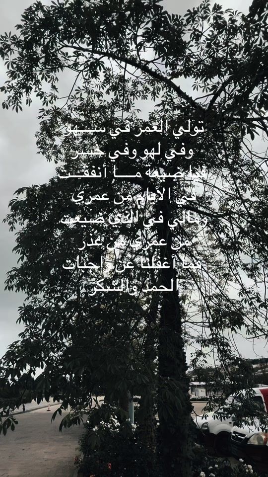 TikTok video thumbnail by kholoud5903