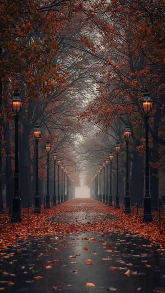 TikTok video thumbnail by melodylove014