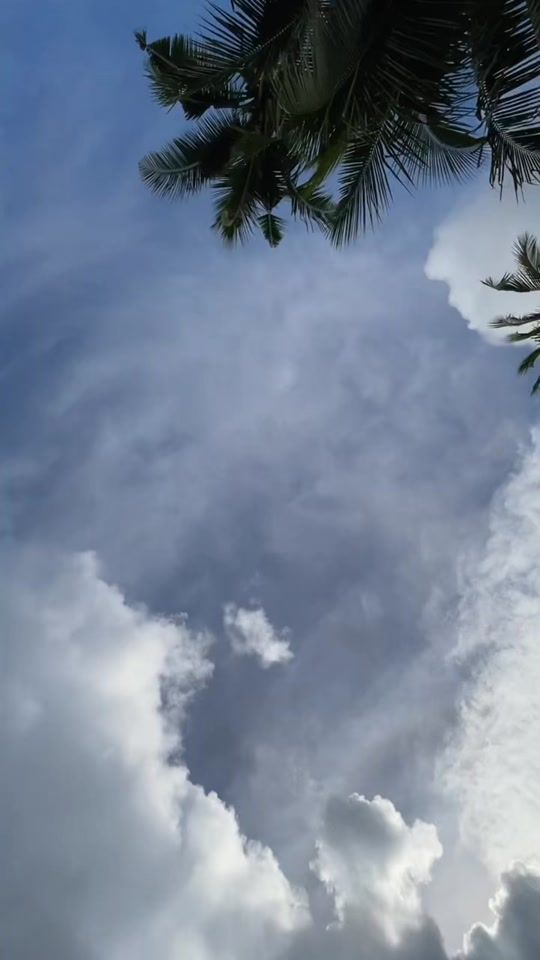 TikTok video thumbnail by tecsondanelle