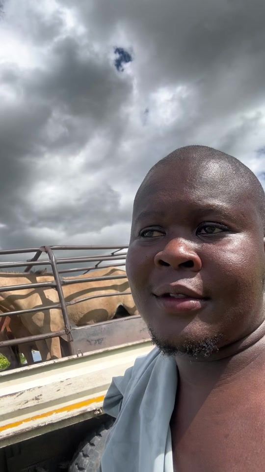 TikTok video thumbnail by mapunduranch