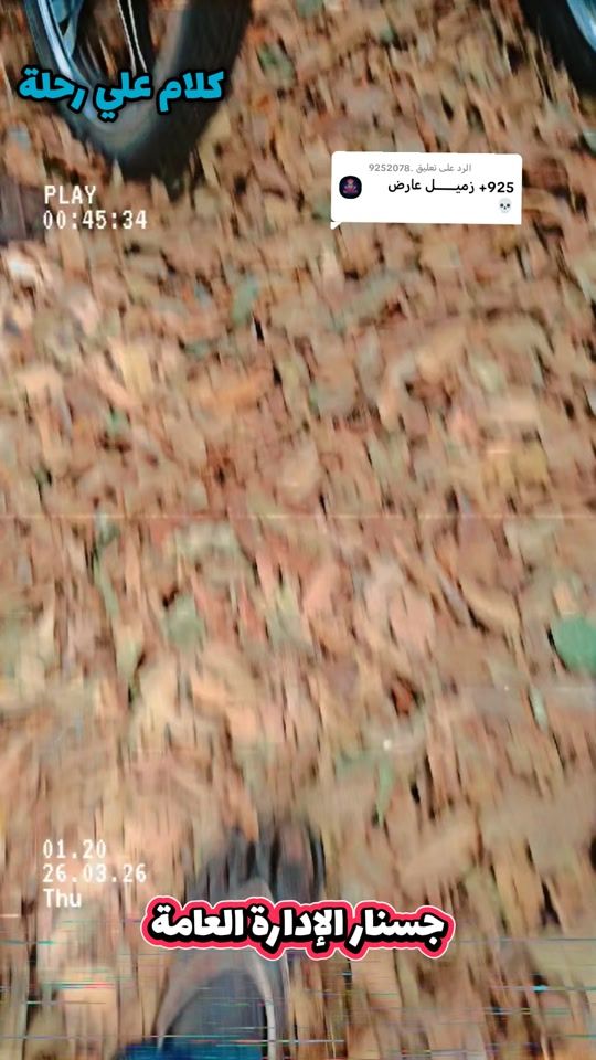 TikTok video thumbnail by neelk249
