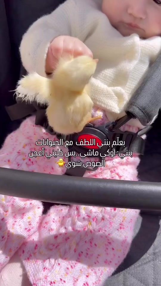 TikTok video thumbnail by fatimamhamad_kitchen