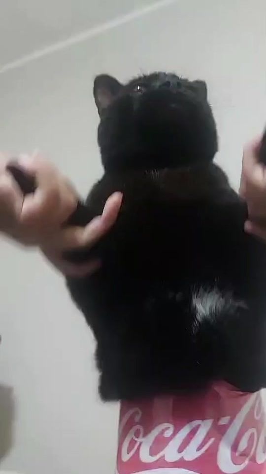 TikTok video thumbnail by mechita084
