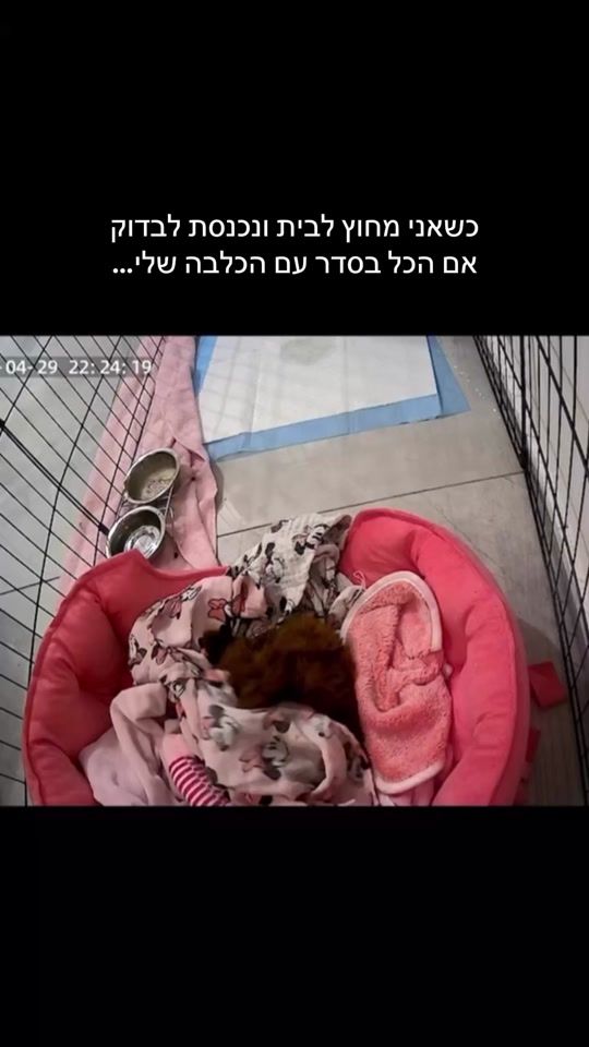 TikTok video thumbnail by mor_hagay