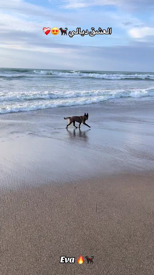 TikTok video thumbnail by eva_ava16