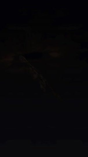 TikTok video thumbnail by _sharkcodm