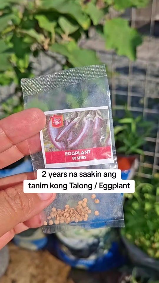 TikTok video thumbnail by cheperez88