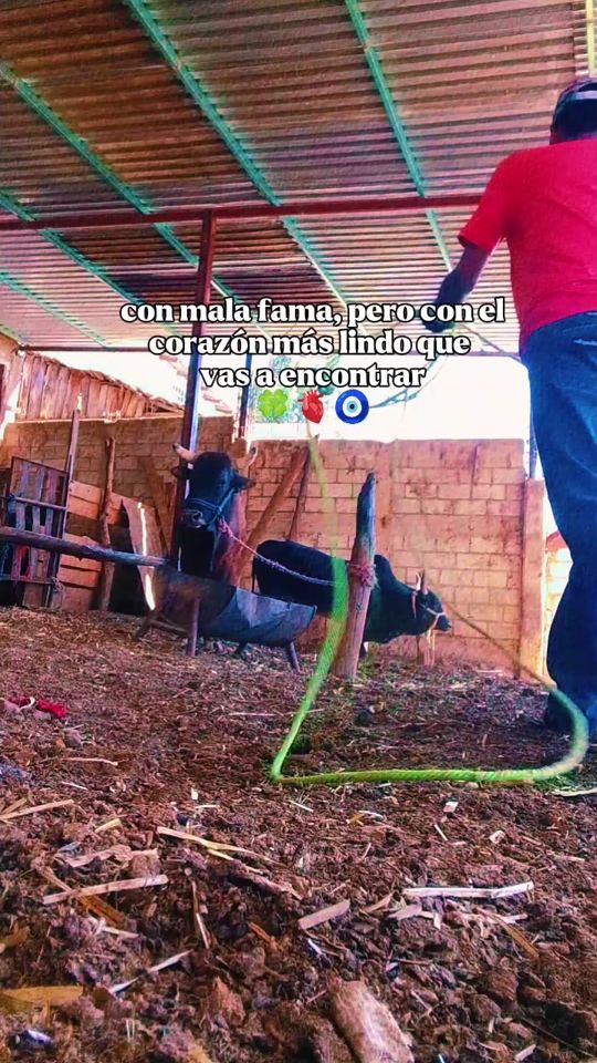 TikTok video thumbnail by el_caporal.deldiablo_1
