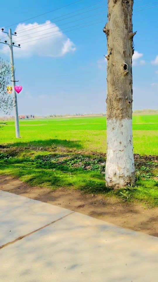TikTok video thumbnail by mohamm4d1