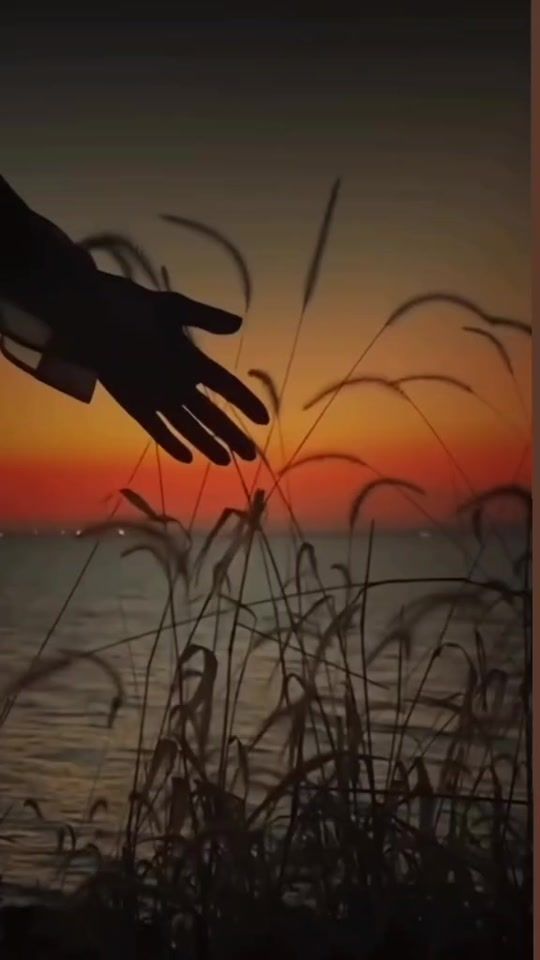 TikTok video thumbnail by winterappel