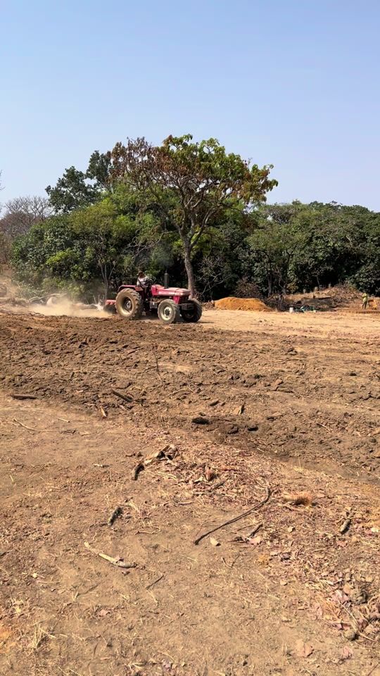 TikTok video thumbnail by jeffor_agro