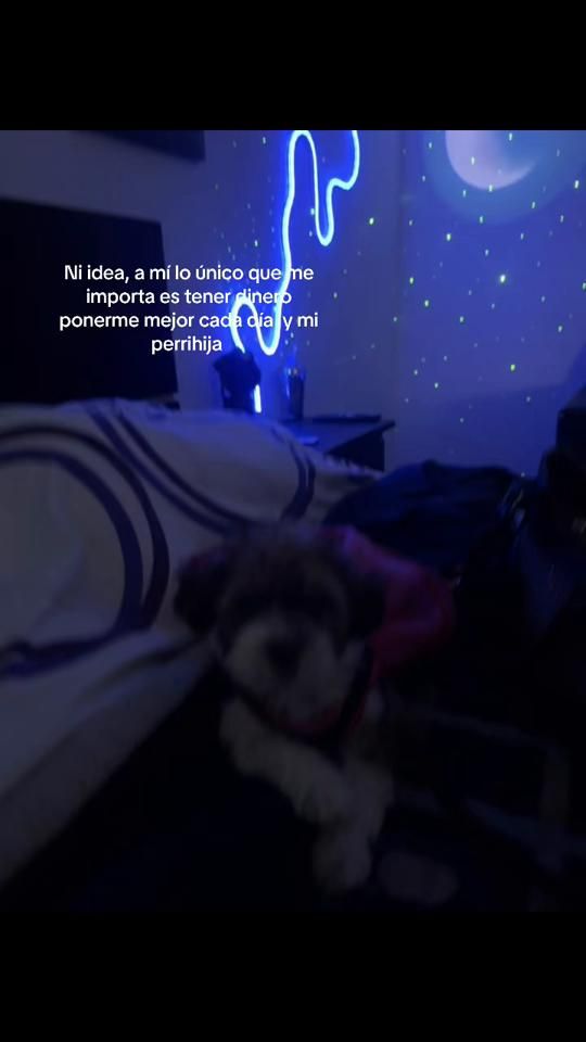TikTok video thumbnail by camipachhh