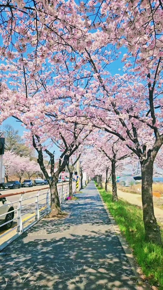 TikTok video thumbnail by blossom__k