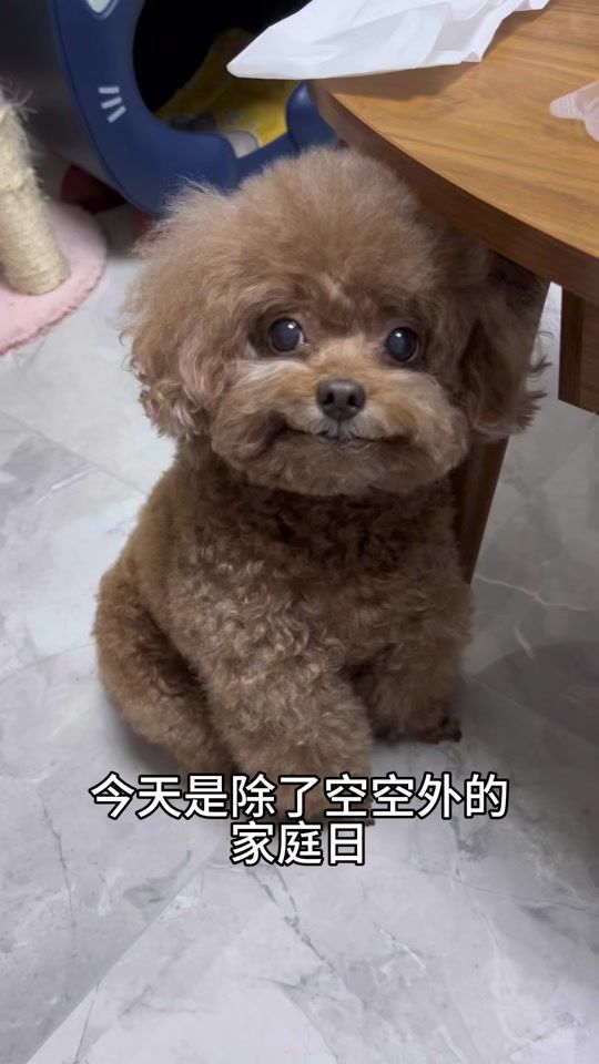 TikTok video thumbnail by abbieququ
