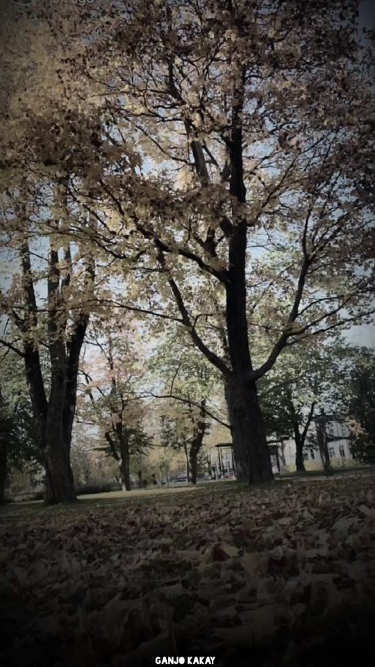 TikTok video thumbnail by shadyad09