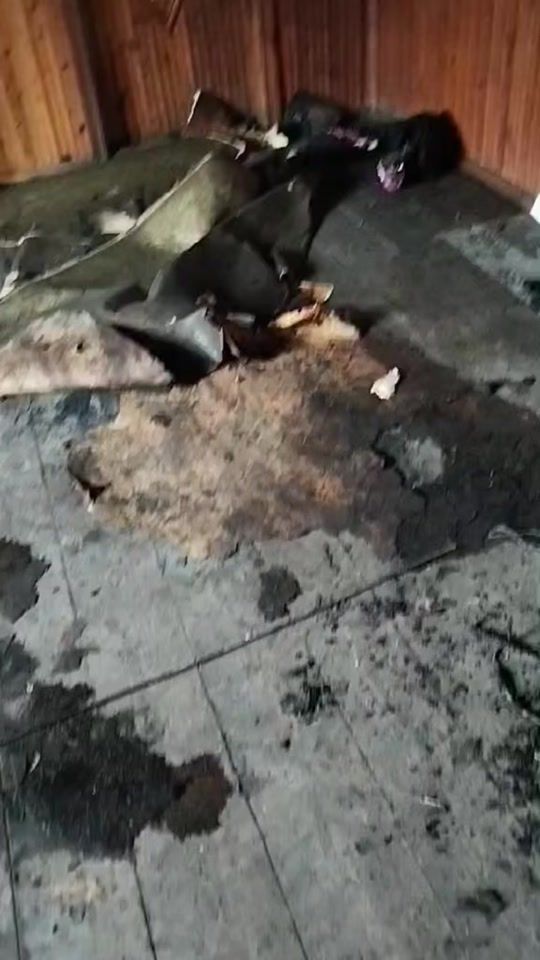 TikTok video thumbnail by baqradze8