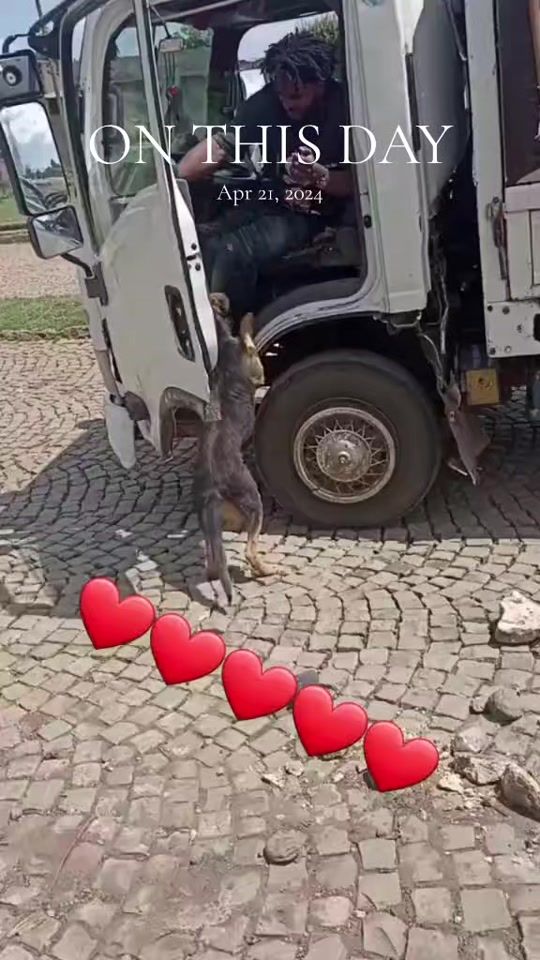 TikTok video thumbnail by user2413754306102