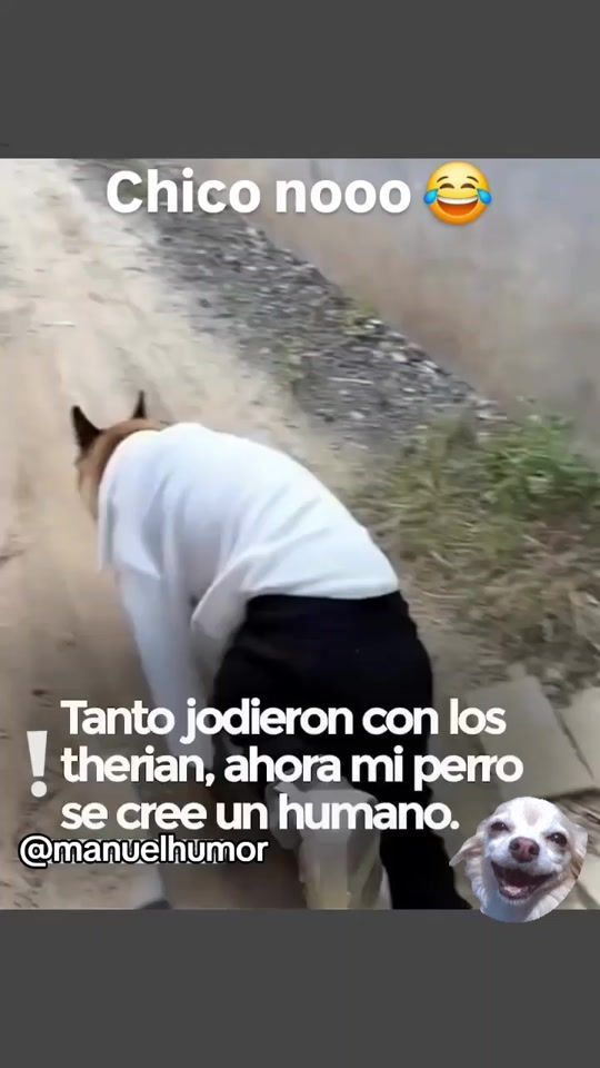 TikTok video thumbnail by manuelteran455
