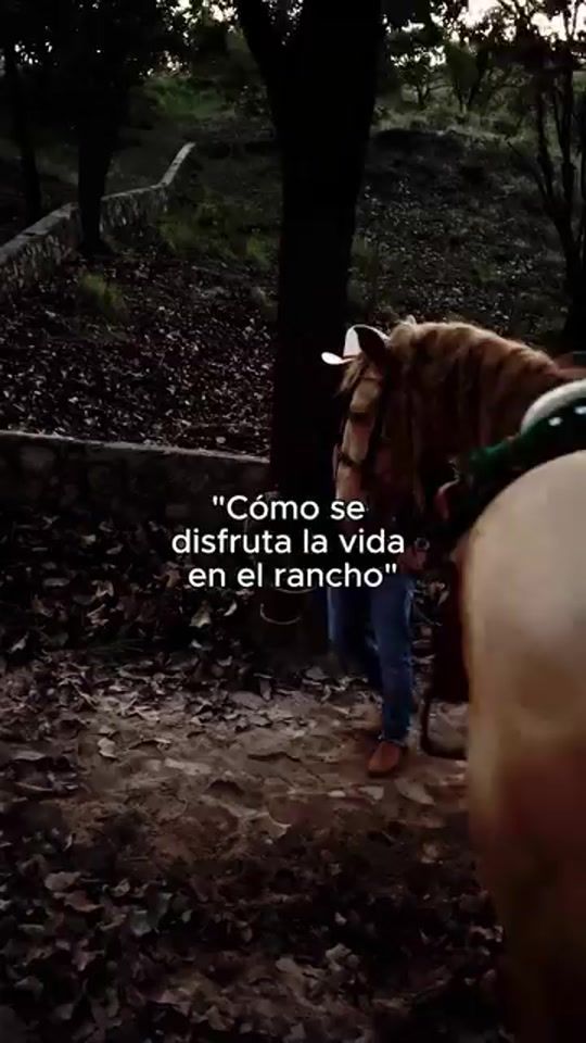 TikTok video thumbnail by julion_alvarez_fans_