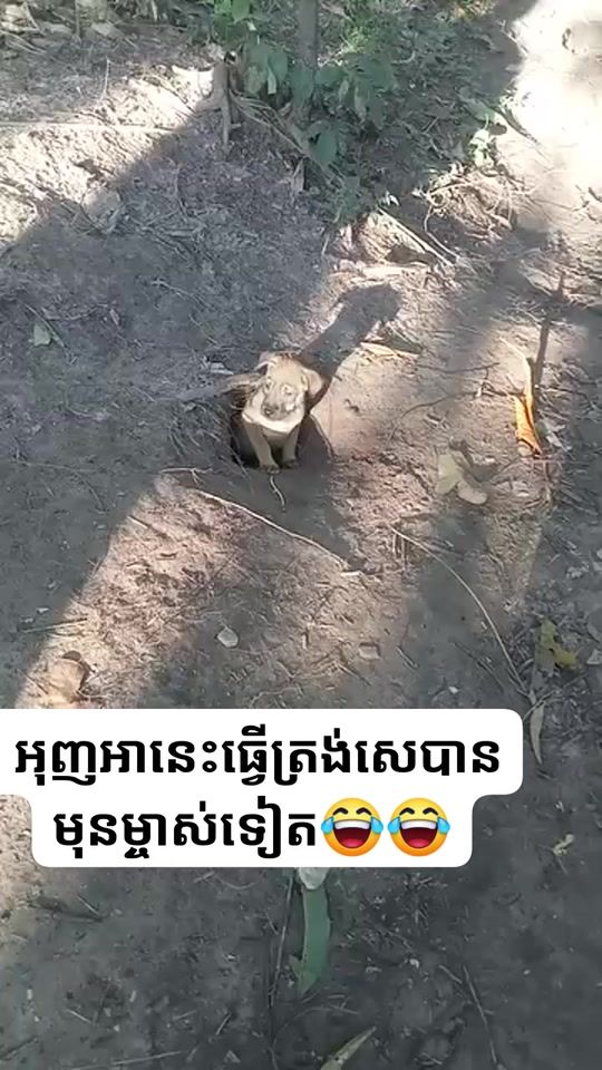 TikTok video thumbnail by nathet99