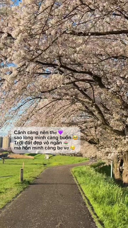 TikTok video thumbnail by eric1a2b3c