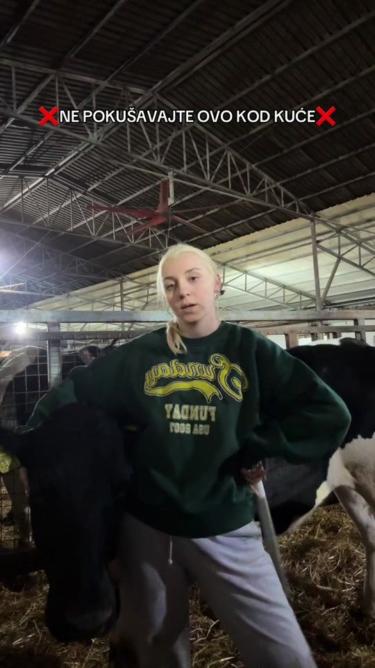 TikTok video thumbnail by mother_of_cows
