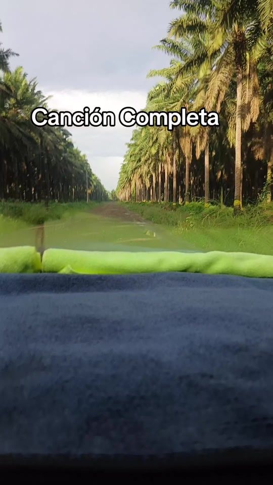 TikTok video thumbnail by el_pirata_morgan