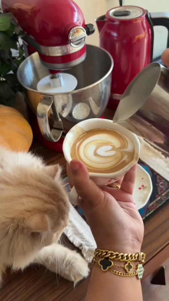 TikTok video thumbnail by manal_chef