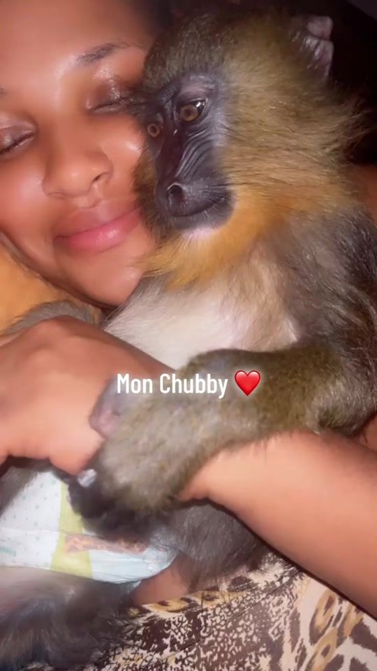 TikTok video thumbnail by salomejedidia