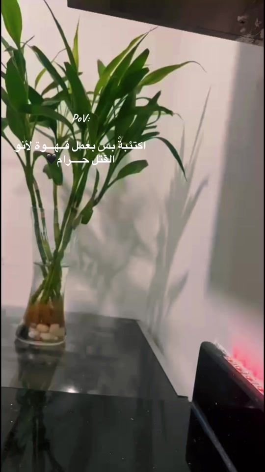 TikTok video thumbnail by wetc50