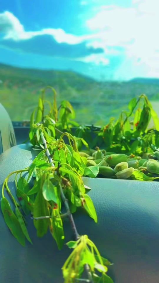 TikTok video thumbnail by huseyin._sirin