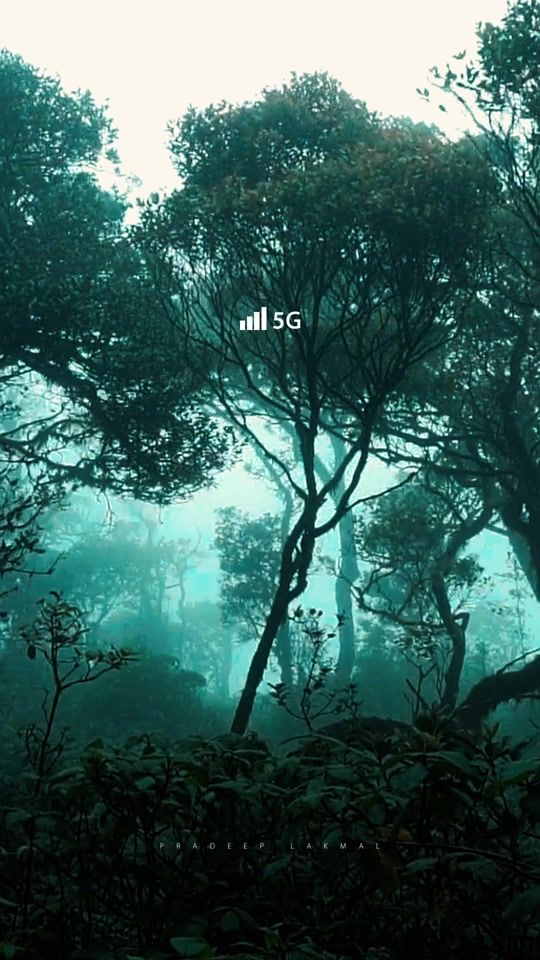 TikTok video thumbnail by pradeep_lakmal