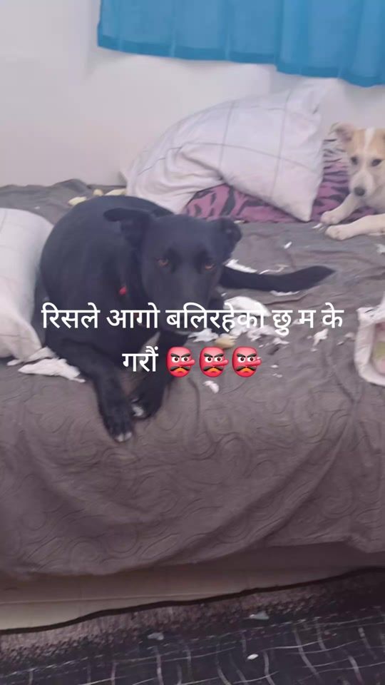 TikTok video thumbnail by beelieve15