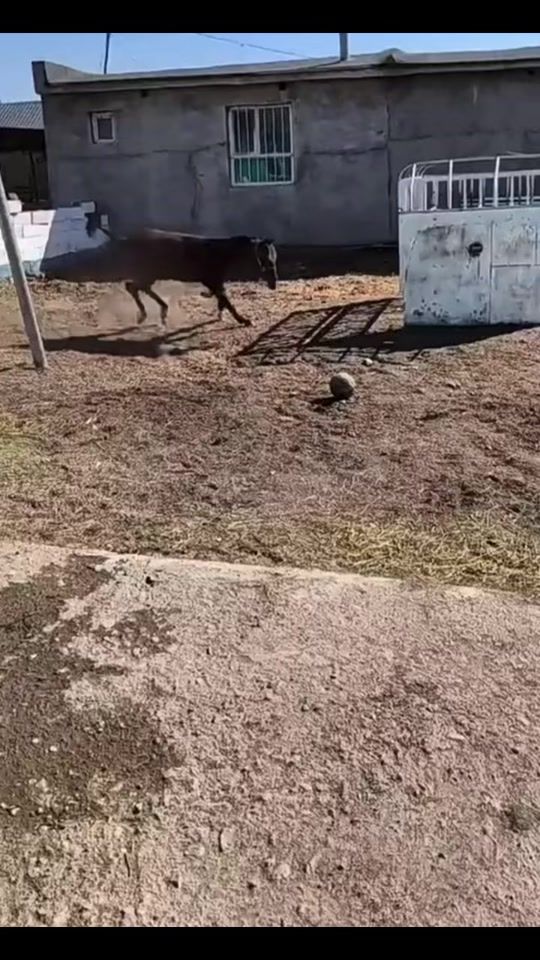 TikTok video thumbnail by aimen_418