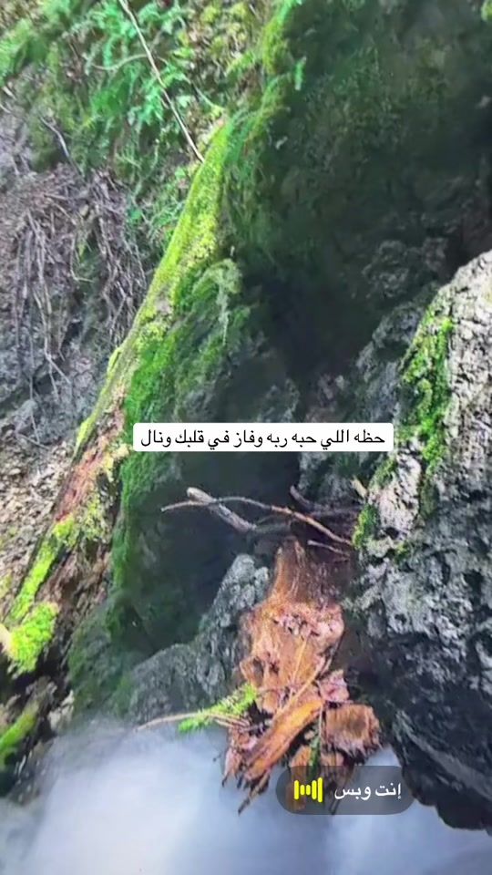 TikTok video thumbnail by raaedatfoundation
