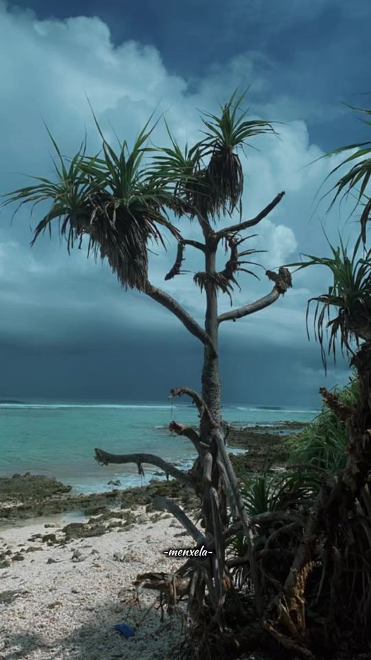 TikTok video thumbnail by suhaanafathimath