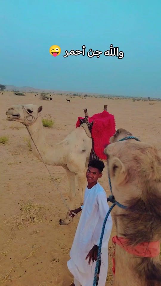 TikTok video thumbnail by mohammed_abdo_919