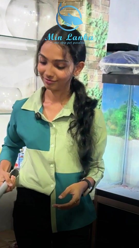TikTok video thumbnail by minlanka