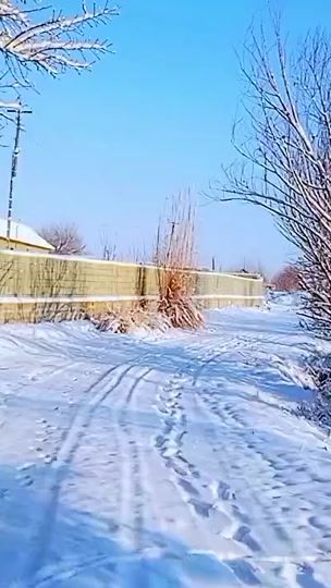 TikTok video thumbnail by behruz_837