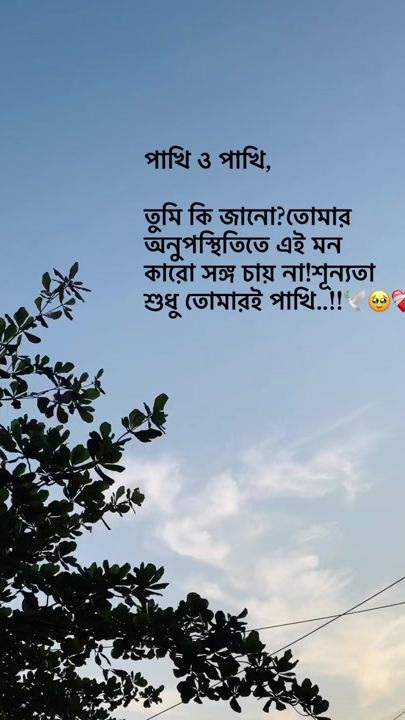 TikTok video thumbnail by ariyan_faruk22